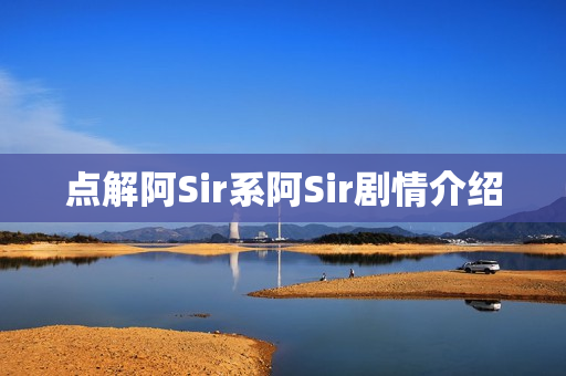 点解阿Sir系阿Sir剧情介绍