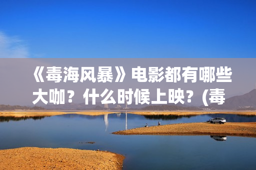 《毒海风暴》电影都有哪些大咖？什么时候上映？(毒海风暴免费观看)