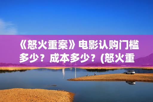 《怒火重案》电影认购门槛多少？成本多少？(怒火重案 完整版)