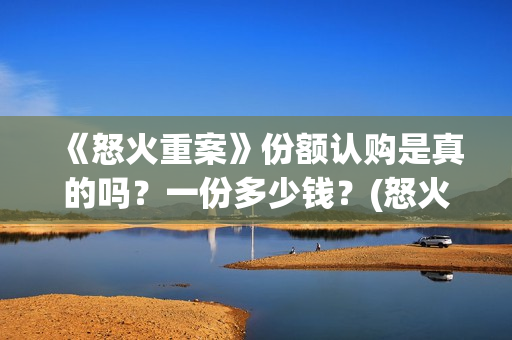 《怒火重案》份额认购是真的吗？一份多少钱？(怒火重案片断)