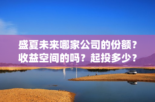 盛夏未来哪家公司的份额？收益空间的吗？起投多少？(盛夏未来king)