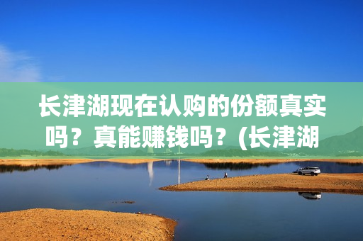 长津湖现在认购的份额真实吗？真能赚钱吗？(长津湖值得投资吗)