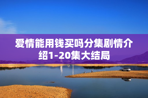 爱情能用钱买吗分集剧情介绍1-20集大结局