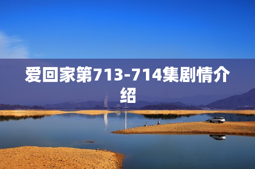 爱回家第713-714集剧情介绍