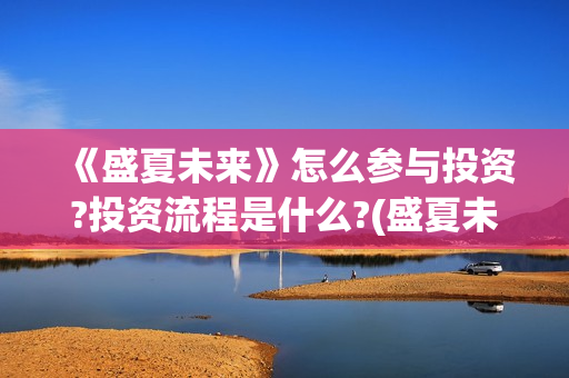 《盛夏未来》怎么参与投资?投资流程是什么?(盛夏未来ts)