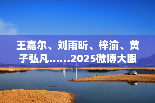 王嘉尔、刘雨昕、梓渝、黄子弘凡……2025微博大眼音乐节火热售票中！ (刘雨昕新歌王嘉尔)