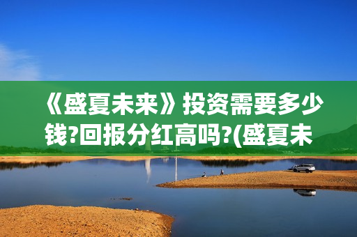 《盛夏未来》投资需要多少钱?回报分红高吗?(盛夏未来zy)