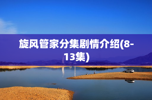 旋风管家分集剧情介绍(8-13集)