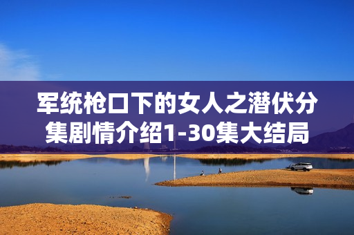 军统枪口下的女人之潜伏分集剧情介绍1-30集大结局