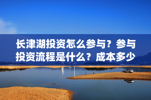 长津湖投资怎么参与？参与投资流程是什么？成本多少？(长津湖投资太大估计亏本)