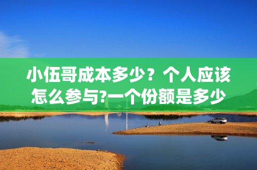 小伍哥成本多少？个人应该怎么参与?一个份额是多少?(网红小伍哥怎么火的)
