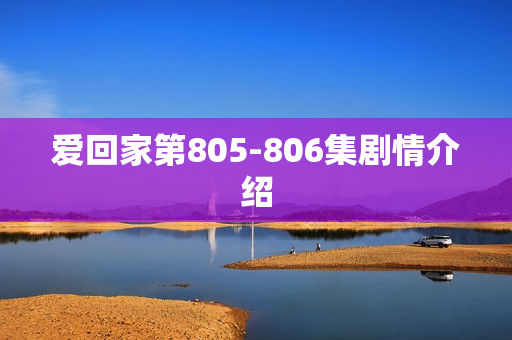 爱回家第805-806集剧情介绍