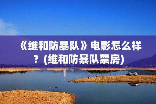 《维和防暴队》电影怎么样？(维和防暴队票房)