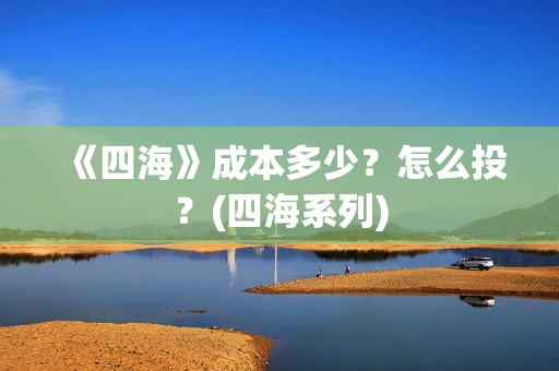 《四海》成本多少？怎么投？(四海系列)