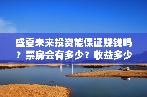 盛夏未来投资能保证赚钱吗？票房会有多少？收益多少？(盛夏未来可以投资吗)