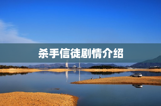 杀手信徒剧情介绍