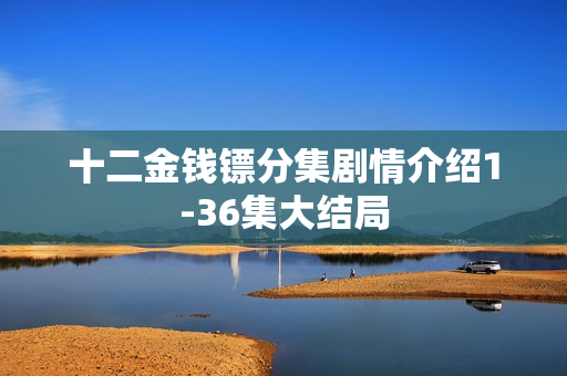 十二金钱镖分集剧情介绍1-36集大结局
