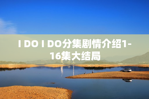 I DO I DO分集剧情介绍1-16集大结局