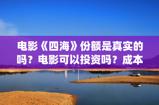 电影《四海》份额是真实的吗？电影可以投资吗？成本是多少的呢？(四海电影海报)