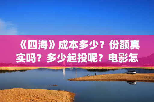 《四海》成本多少？份额真实吗？多少起投呢？电影怎么投资(四海剧情)