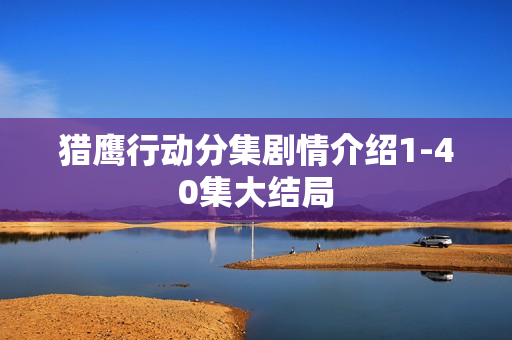 猎鹰行动分集剧情介绍1-40集大结局 猎鹰行动分集剧情介绍1-40集大结局