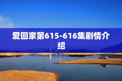 爱回家第615-616集剧情介绍