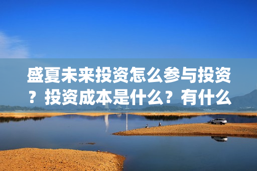 盛夏未来投资怎么参与投资？投资成本是什么？有什么风险？(盛夏未来能投吗)