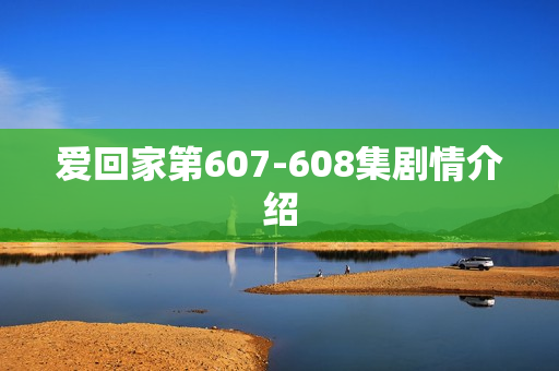 爱回家第607-608集剧情介绍 爱回家第607-608集剧情介绍