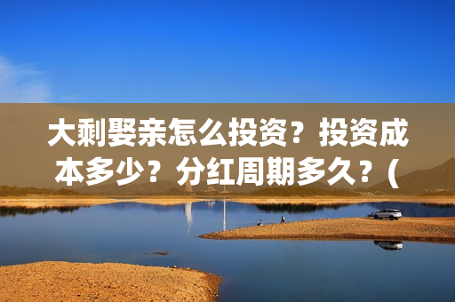 大剩娶亲怎么投资？投资成本多少？分红周期多久？(大剩娶亲有哪个公司出品)