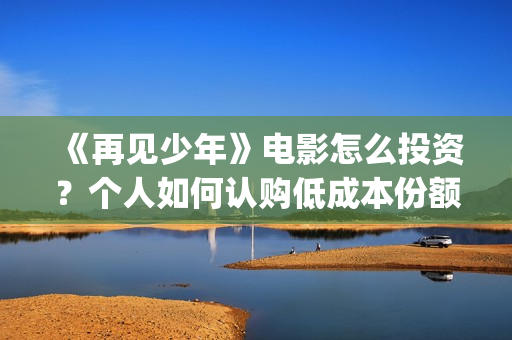 《再见少年》电影怎么投资？个人如何认购低成本份额？在哪投？(再见少年电影原著)