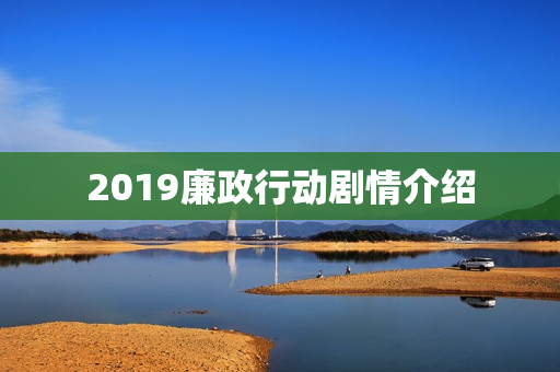 2019廉政行动剧情介绍