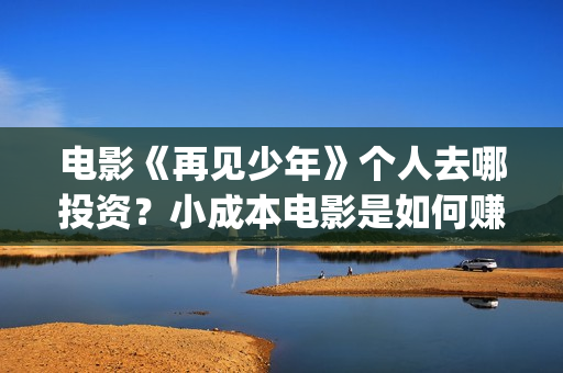 电影《再见少年》个人去哪投资？小成本电影是如何赚钱的？(《再见,少年》上映)
