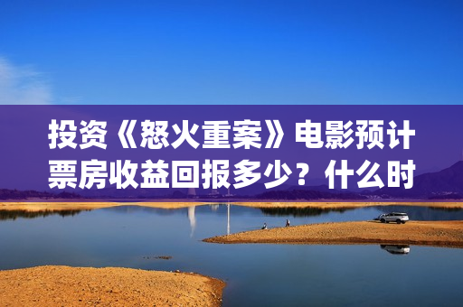 投资《怒火重案》电影预计票房收益回报多少？什么时候分红？(投资《怒火重案》多少钱)