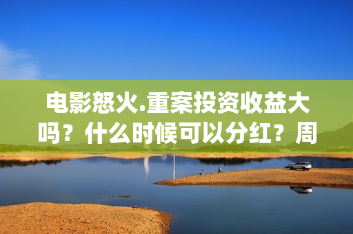 电影怒火.重案投资收益大吗？什么时候可以分红？周期？(电影怒火重案2国语)