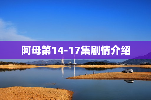 阿母第14-17集剧情介绍