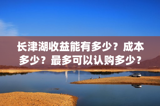 长津湖收益能有多少？成本多少？最多可以认购多少？(长津湖会亏本吗)