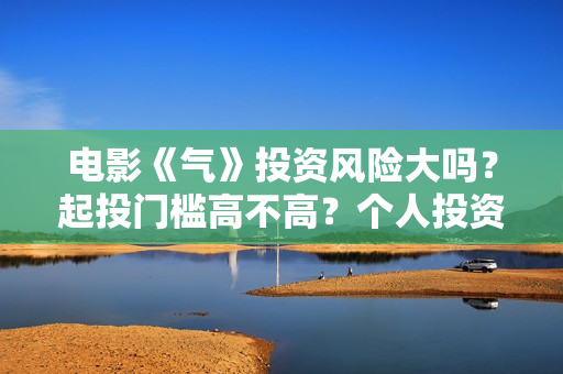电影《气》投资风险大吗？起投门槛高不高？个人投资赚钱啊？