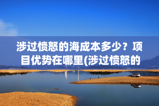 涉过愤怒的海成本多少？项目优势在哪里(涉过愤怒的海没过审)