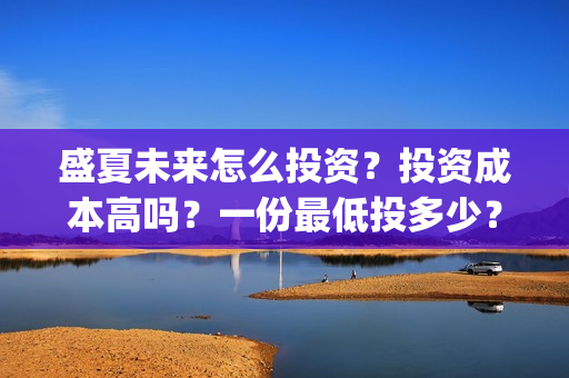 盛夏未来怎么投资？投资成本高吗？一份最低投多少？(盛夏未来怎么了)