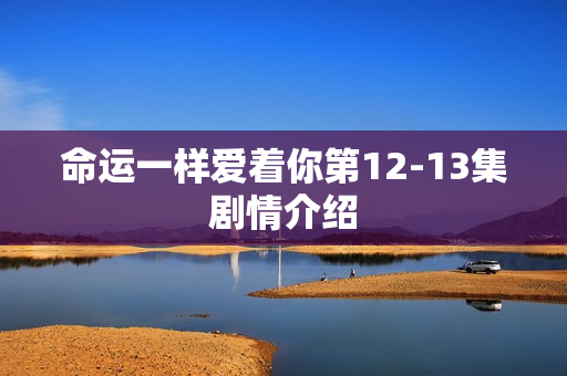 命运一样爱着你第12-13集剧情介绍