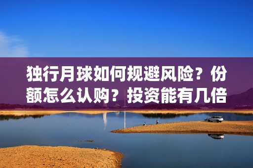 独行月球如何规避风险？份额怎么认购？投资能有几倍的回报率？(《独行月球》)