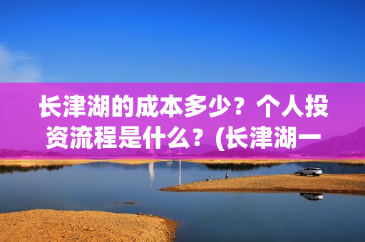 长津湖的成本多少？个人投资流程是什么？(长津湖一共投资多少钱)