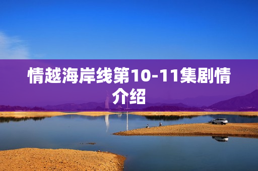 情越海岸线第10-11集剧情介绍