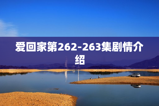 爱回家第262-263集剧情介绍