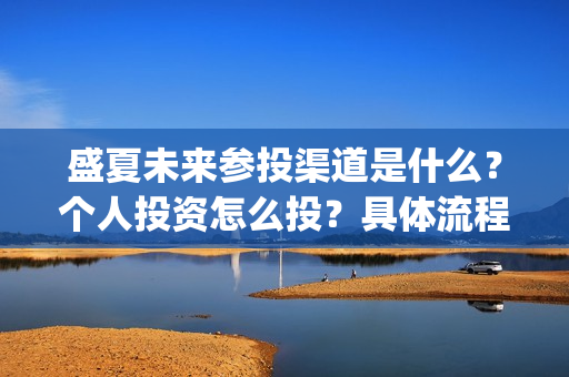 盛夏未来参投渠道是什么？个人投资怎么投？具体流程是什么?(盛夏未来发行公司)