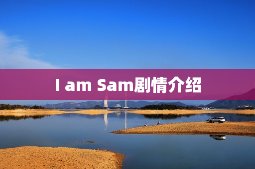 I am Sam剧情介绍