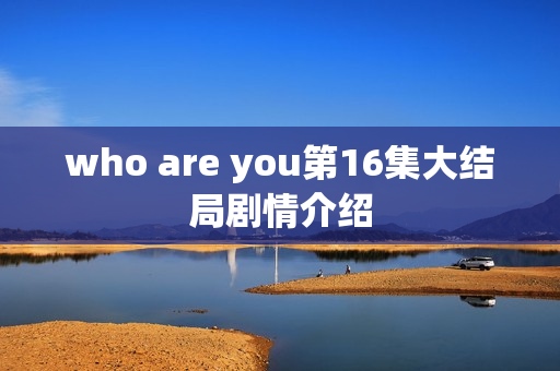 who are you第16集大结局剧情介绍
