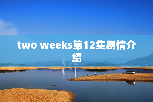 two weeks第12集剧情介绍