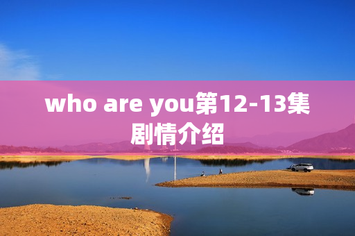 who are you第12-13集剧情介绍 who are you第12-13集剧情介绍