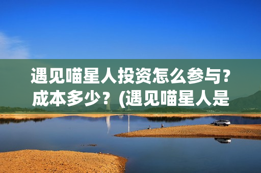 遇见喵星人投资怎么参与？成本多少？(遇见喵星人是哪家公司)